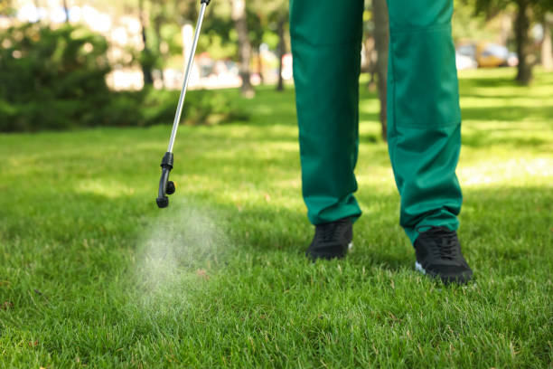 Best Exterminator Services  in Maryville, TN
