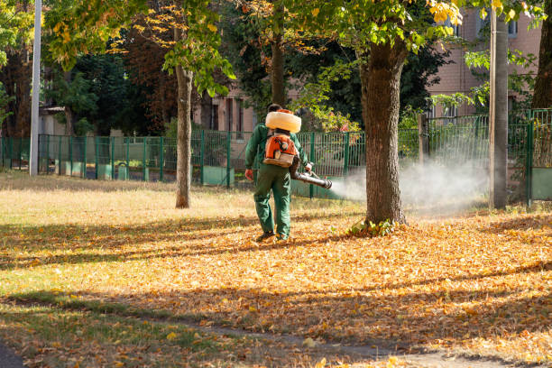 Best Emergency Pest Control  in Maryville, TN