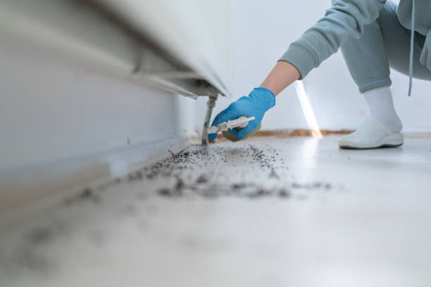 Pest Control for Restaurants in Maryville, TN